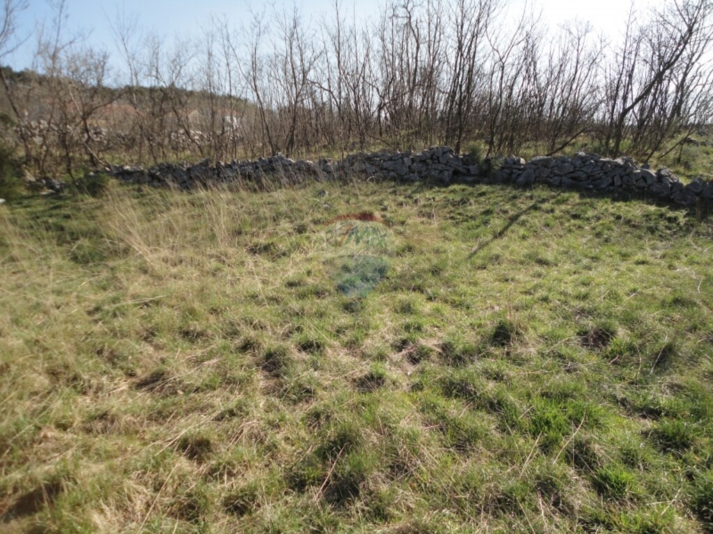 Image 5411061 - 3
