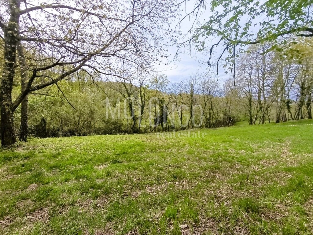 Image 13