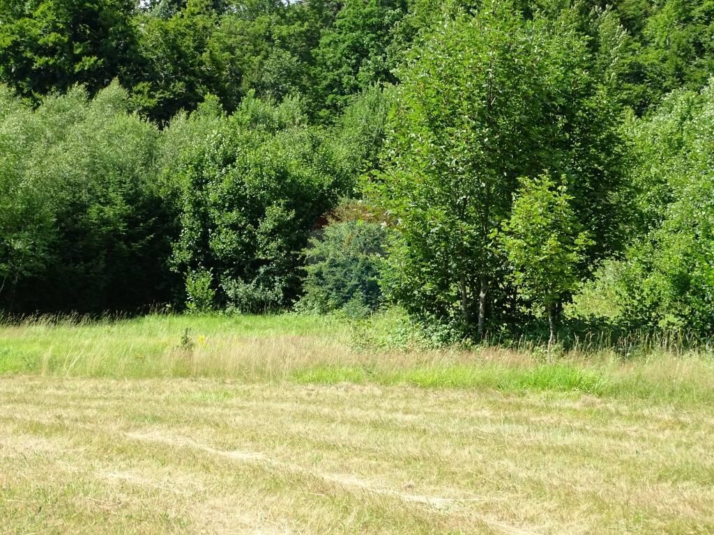 Image 5417609 - 5