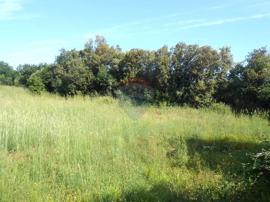 Image 5410287 - 2