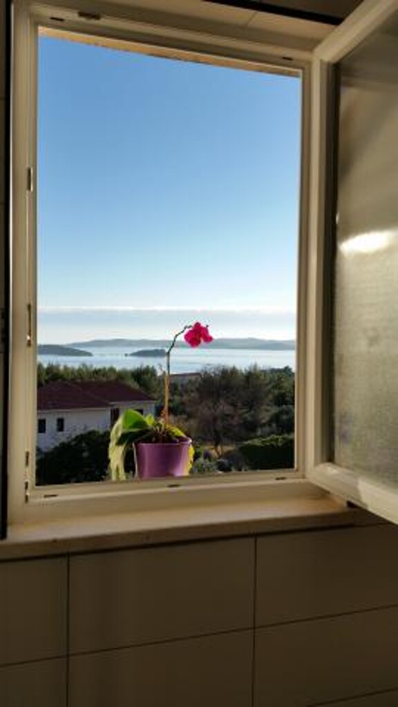 Image 3814543 - 7