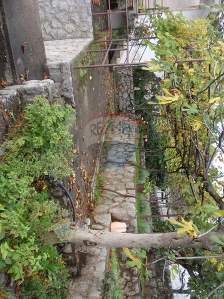 Image 5411136 - 5
