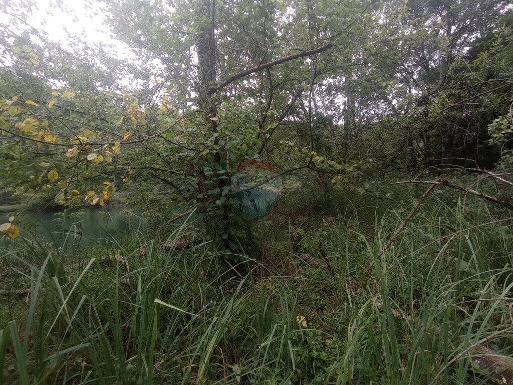 Image 5424860 - 10