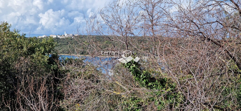 Image 30