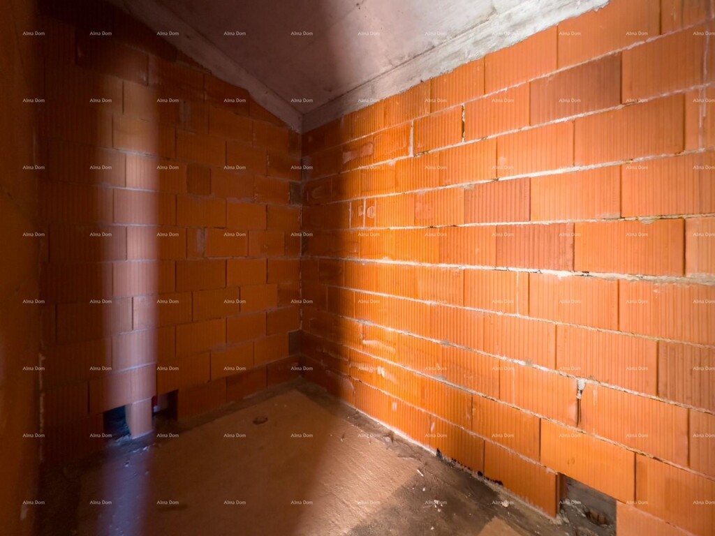 Image 20