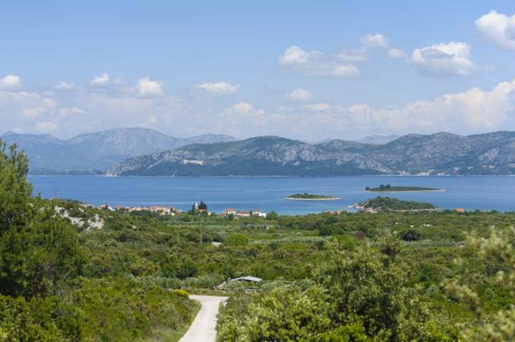 Image 3811648 - 6