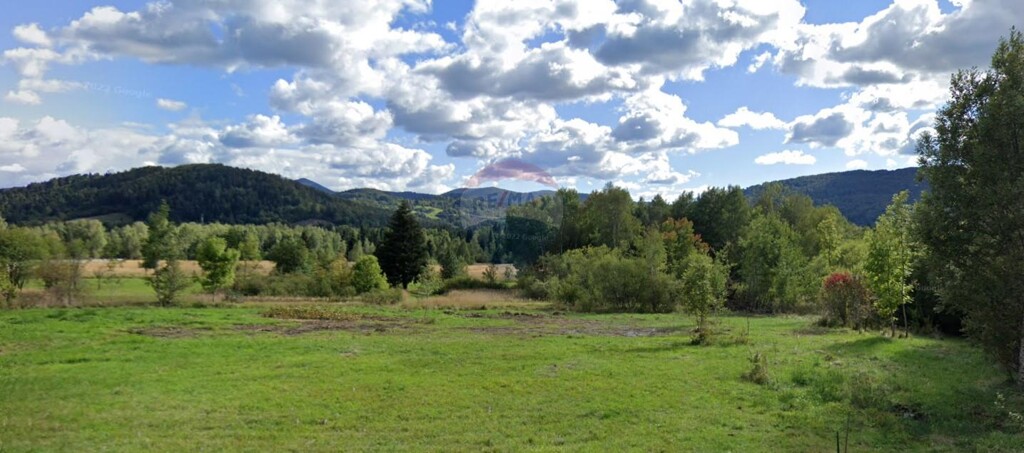 Image 5430031 - 1
