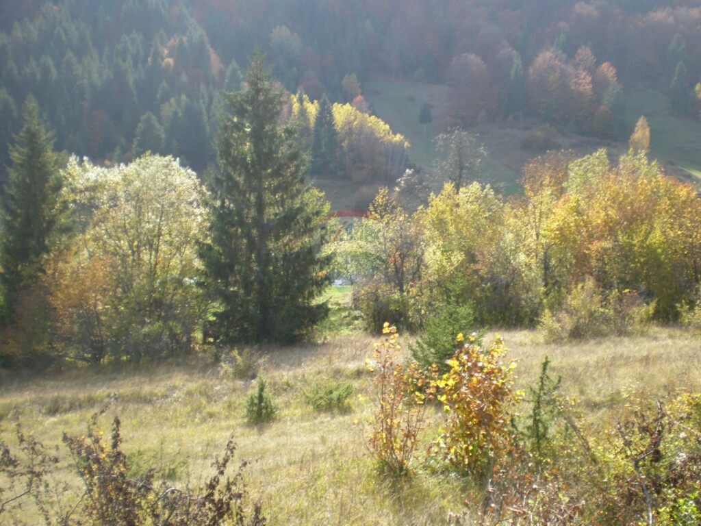 Image 5411131 - 8