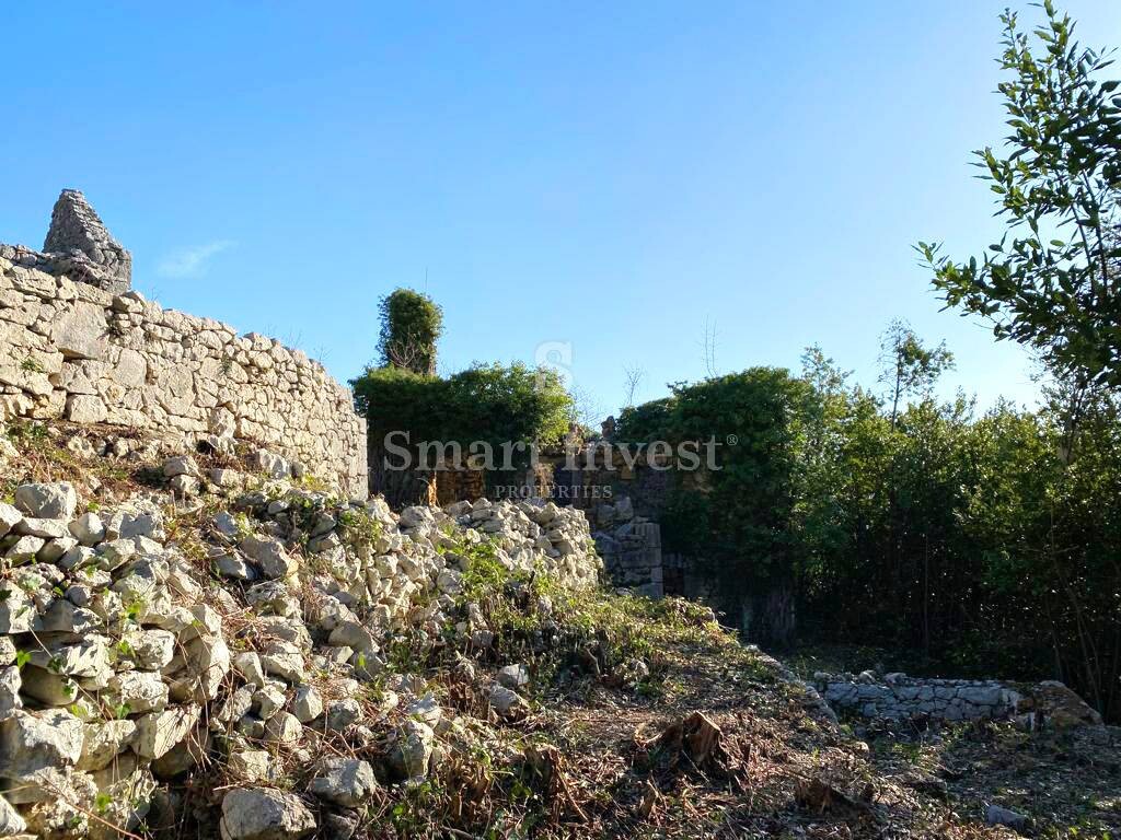 Image 22