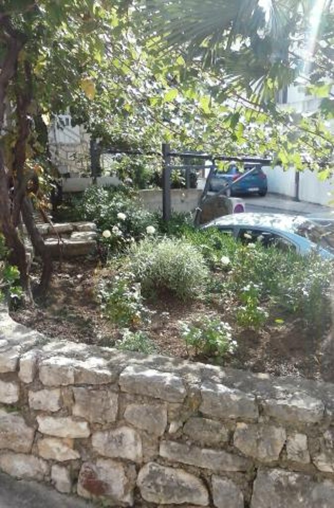 Image 3838524 - 18