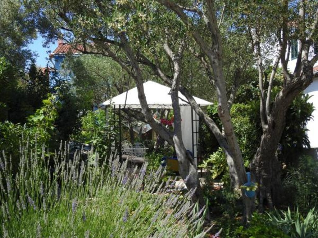 Image 3813867 - 12