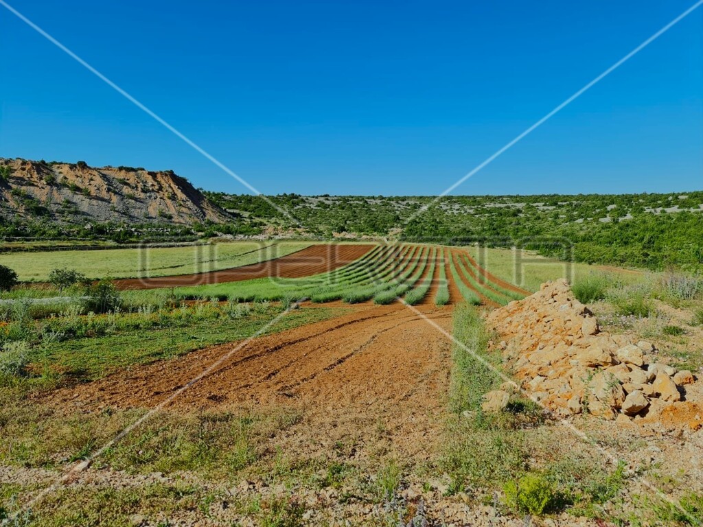 Image 18