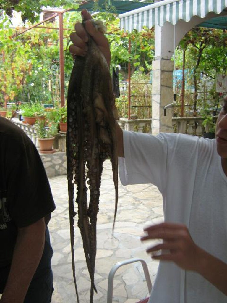 Image 3811872 - 23