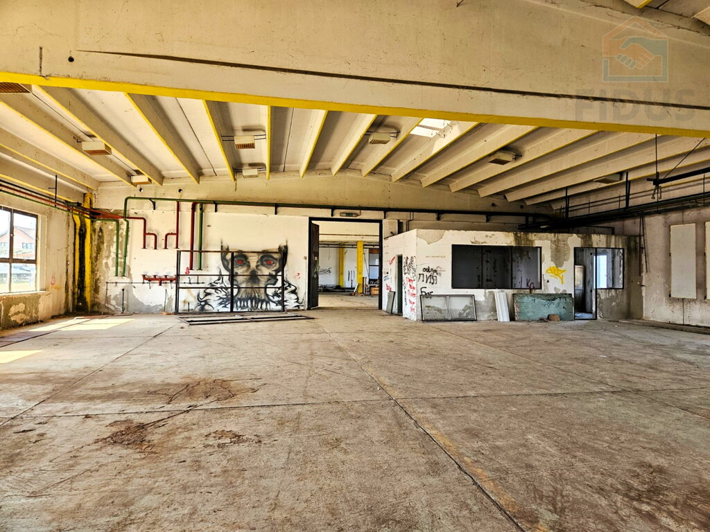 Image 6