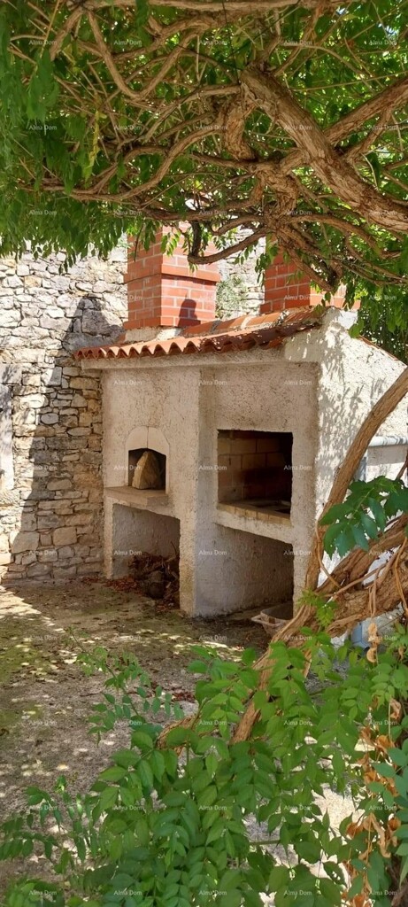 Image 18