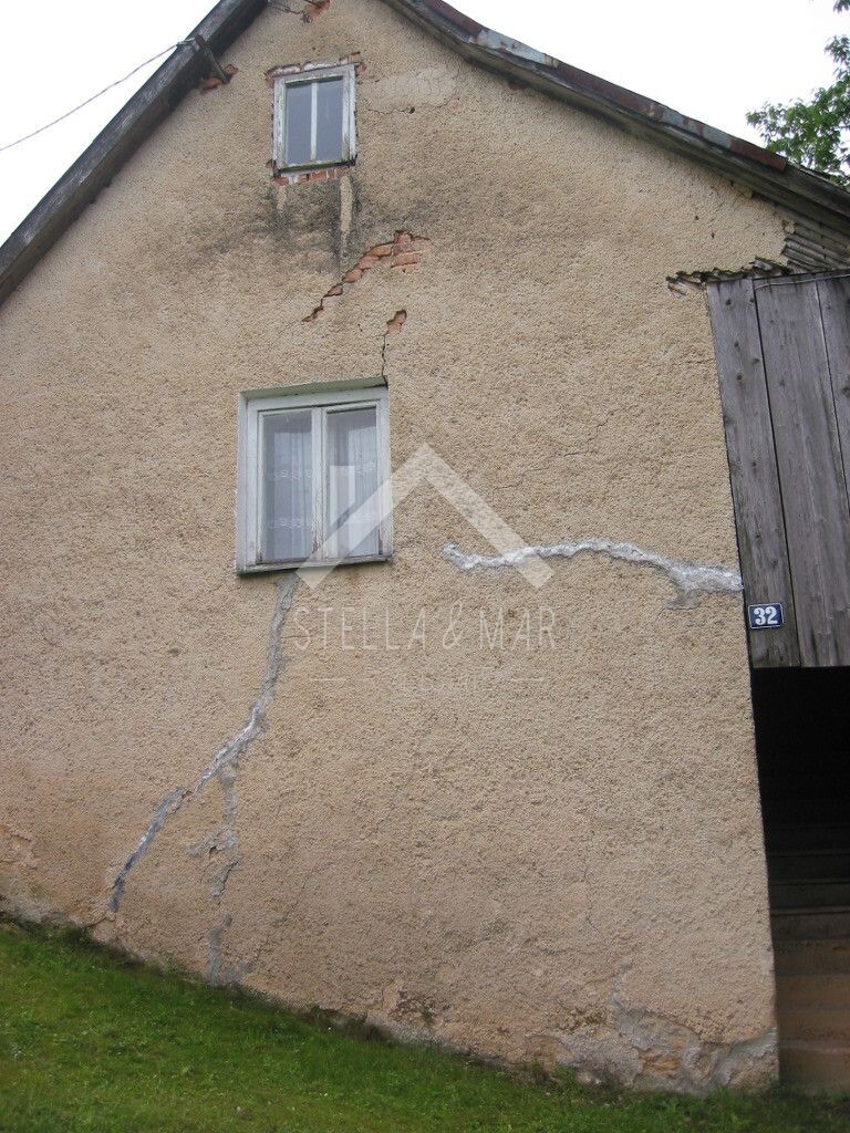 Image 5195037 - 11