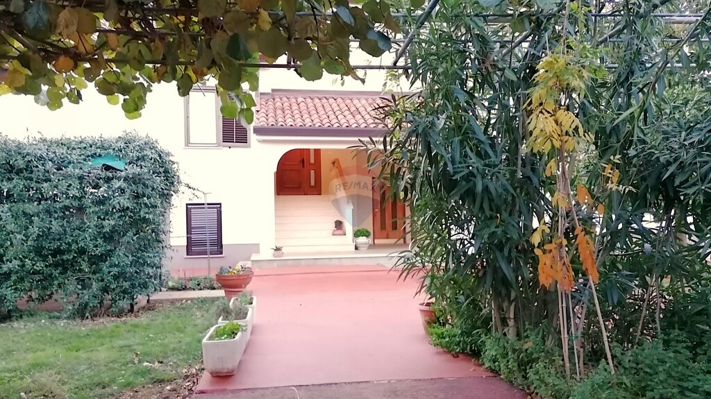 Image 21