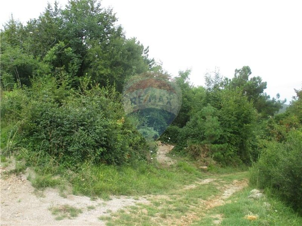Image 5410988 - 3