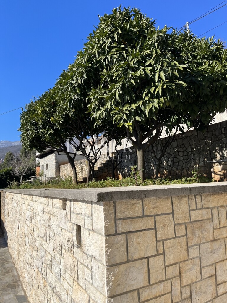 Image 14