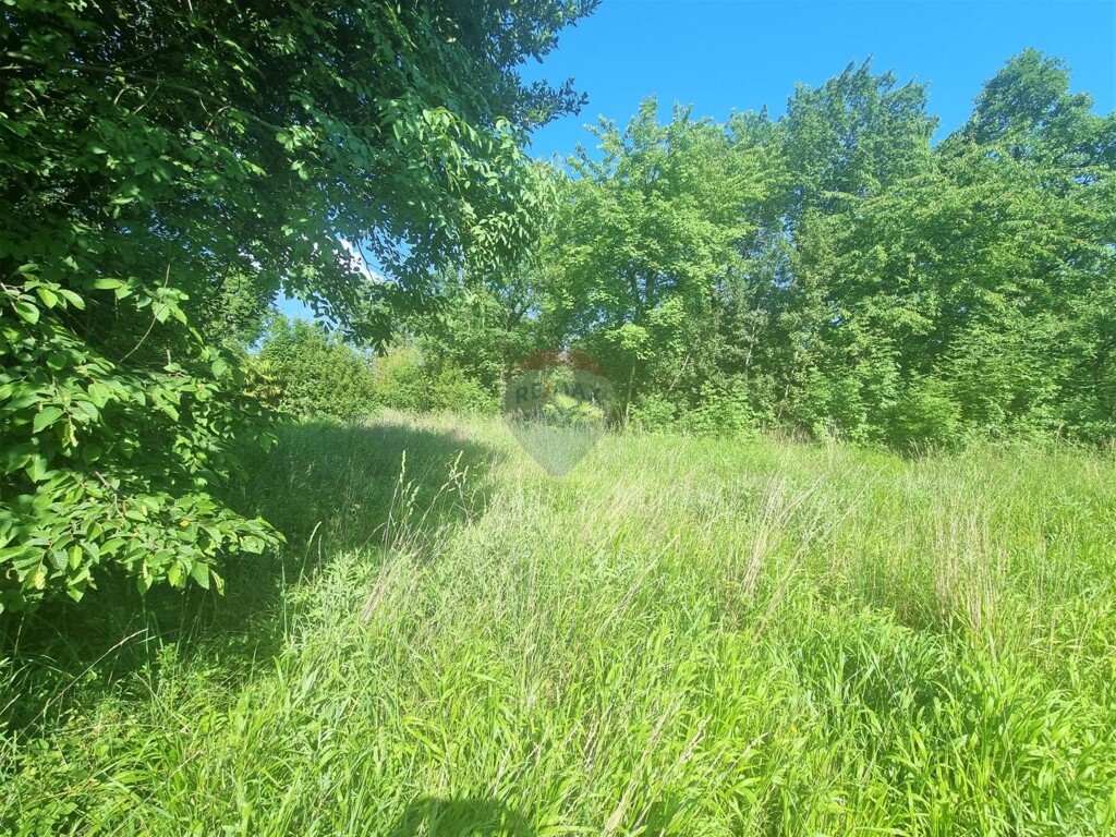 Image 5429833 - 18