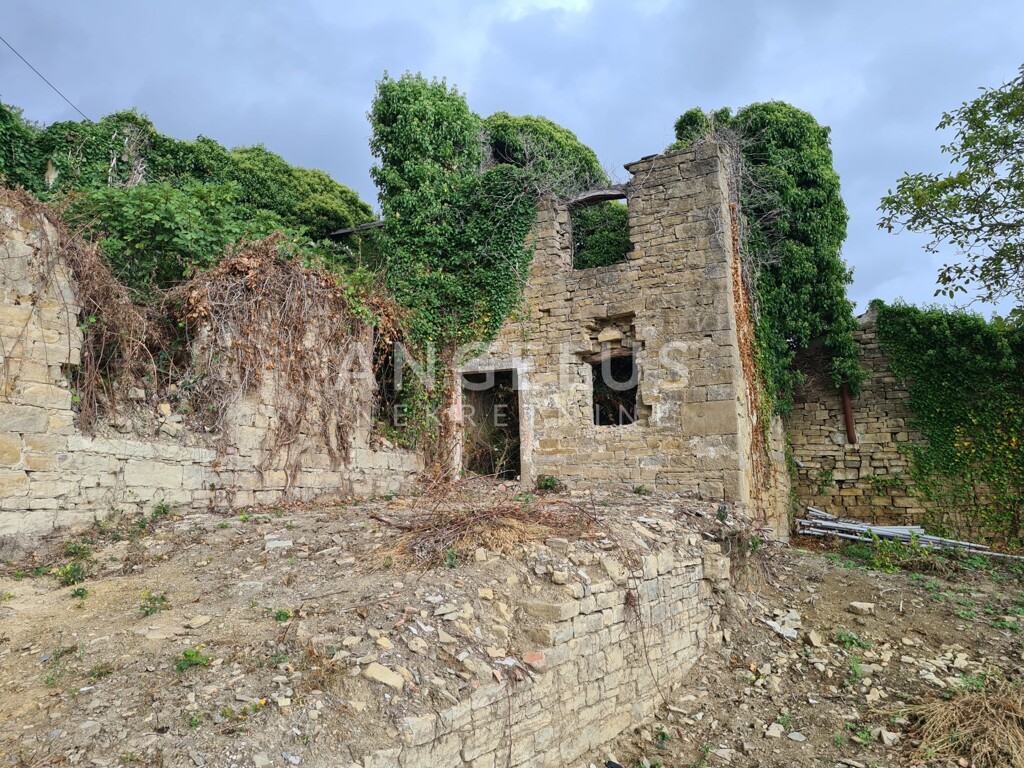 Image 6208412 - 2