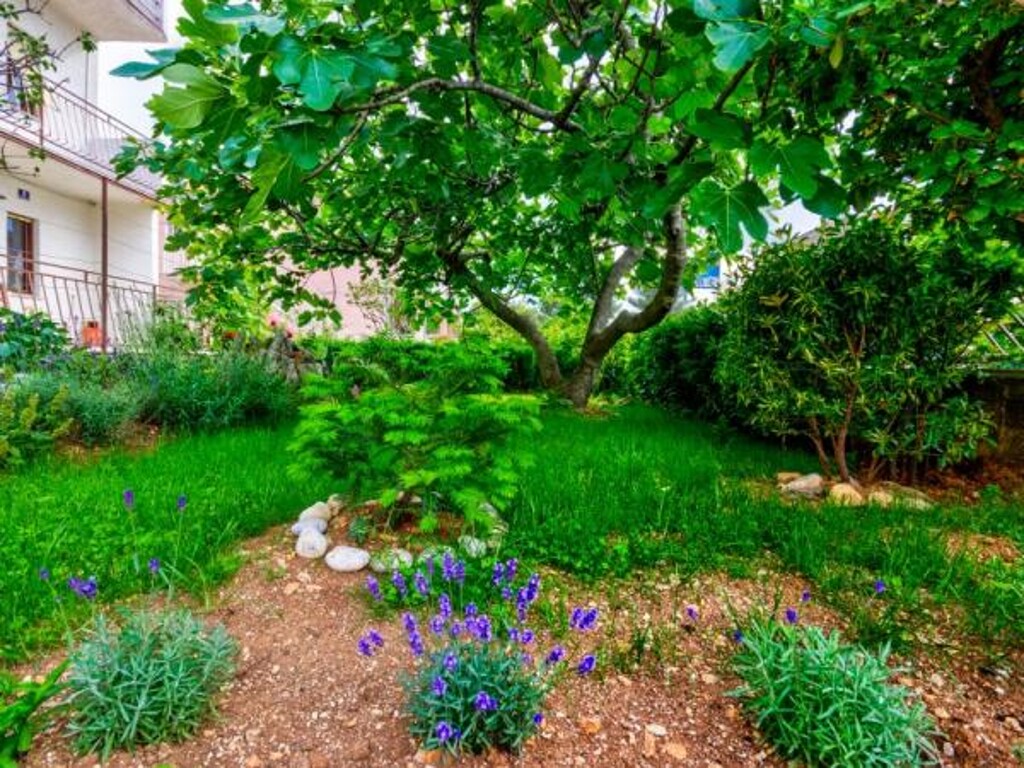 Image 3812908 - 7