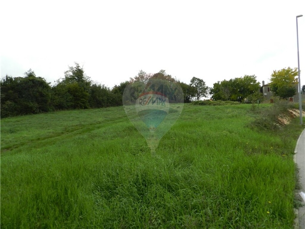Image 5411137 - 3