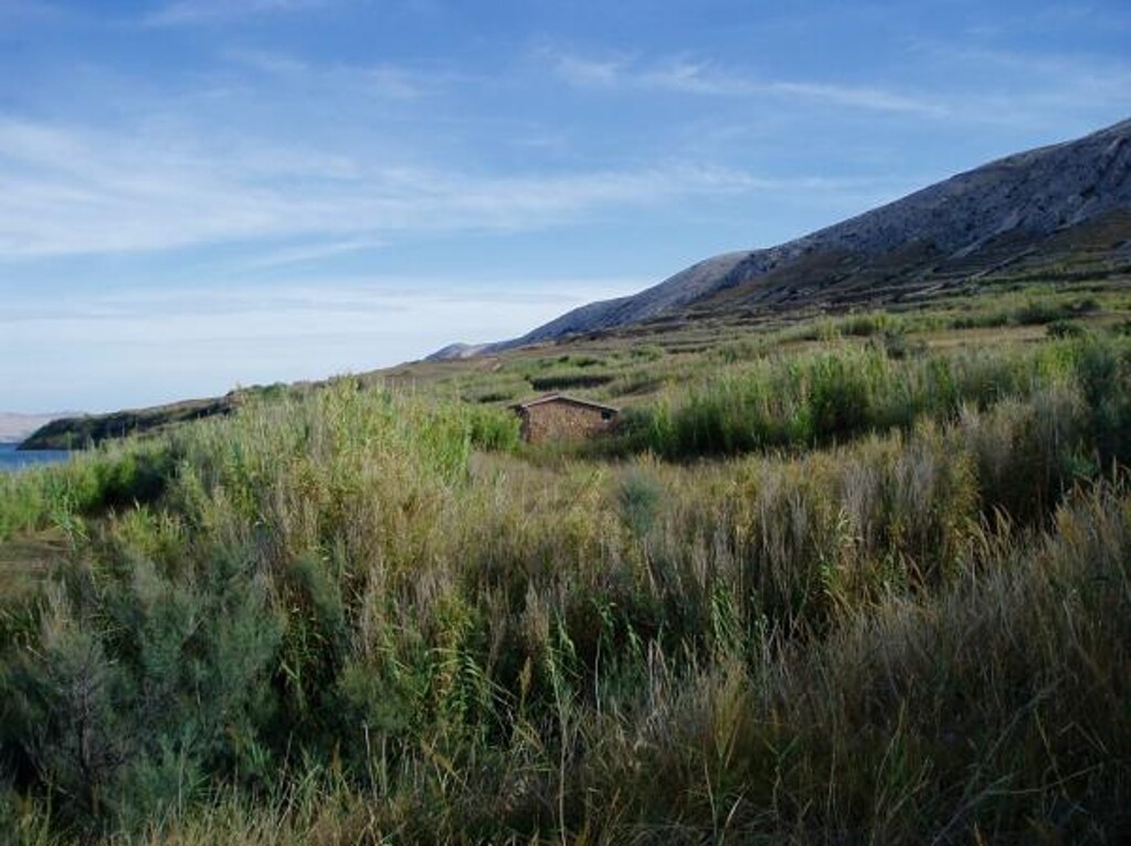 Image 3823622 - 3