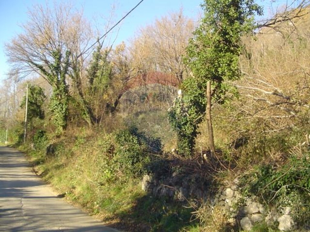 Image 5410943 - 6