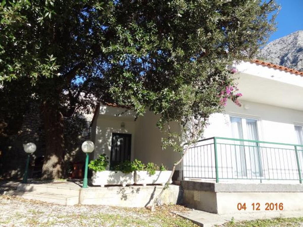 Image 3838467 - 11