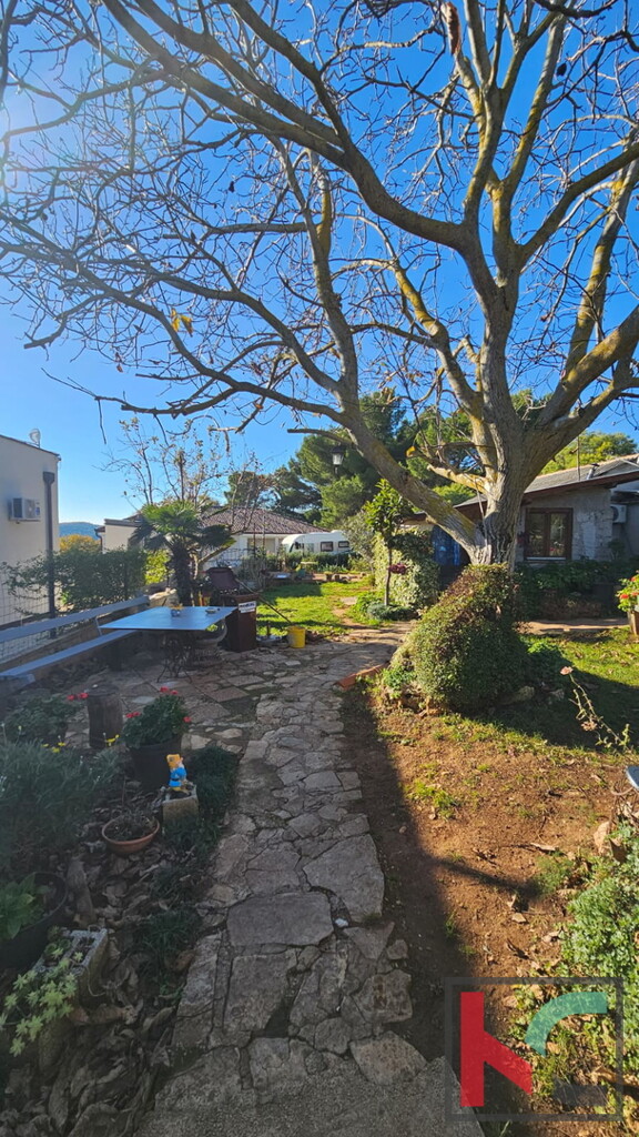 Image 12