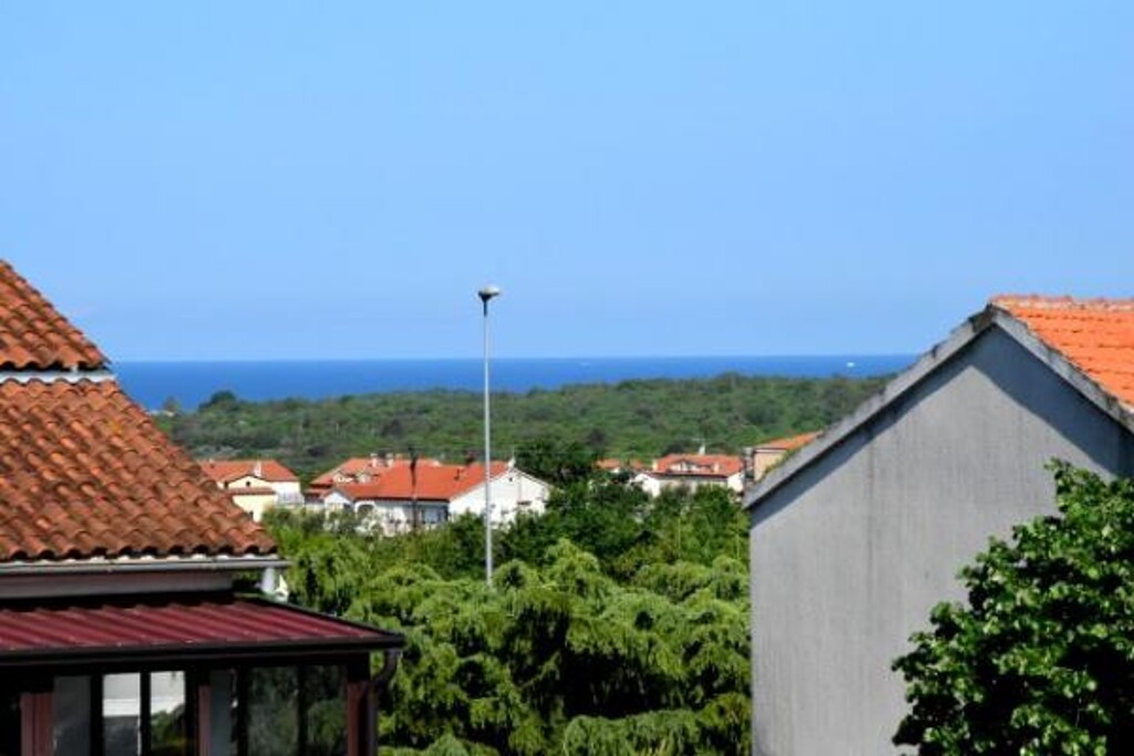 Image 3811601 - 11