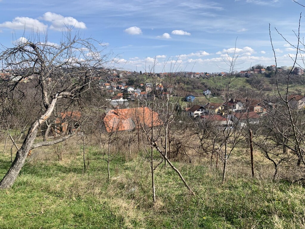 Image 18