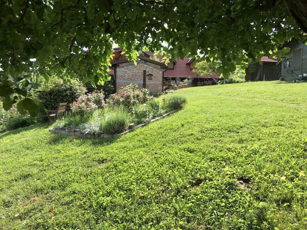 Image 23