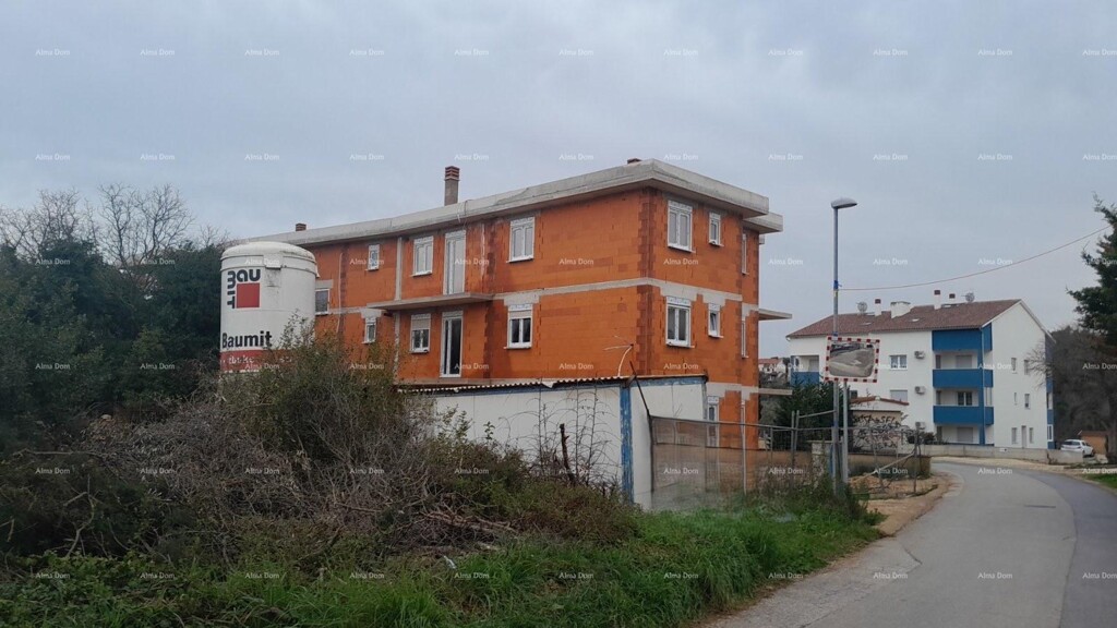 Image 12