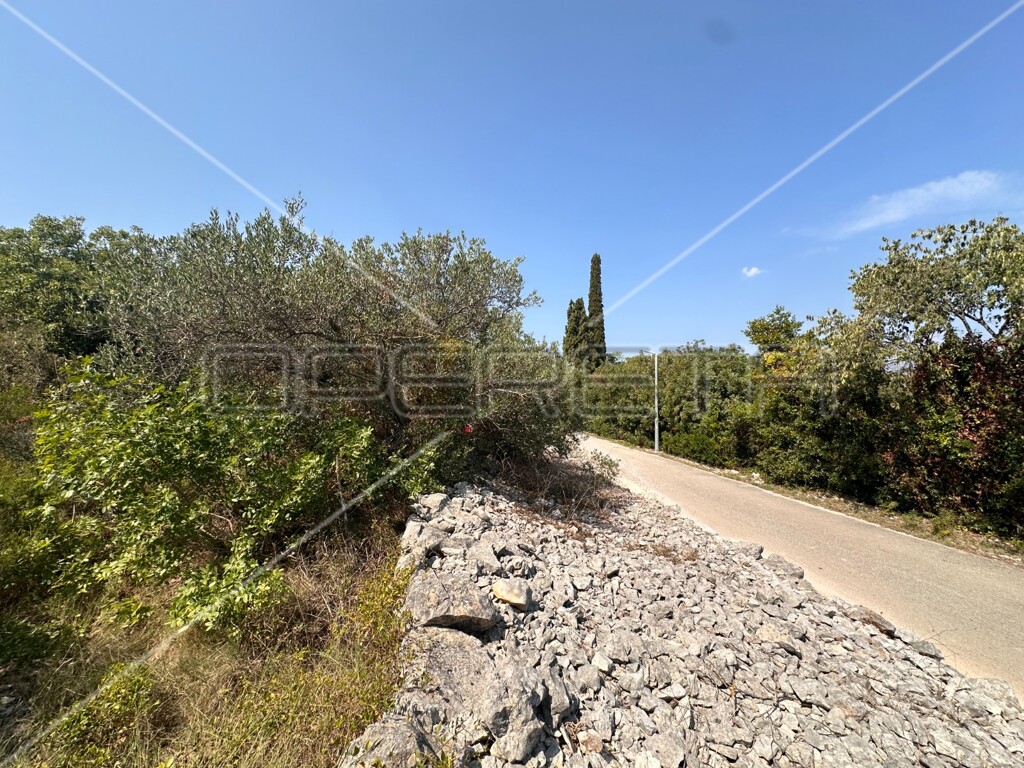 Image 22