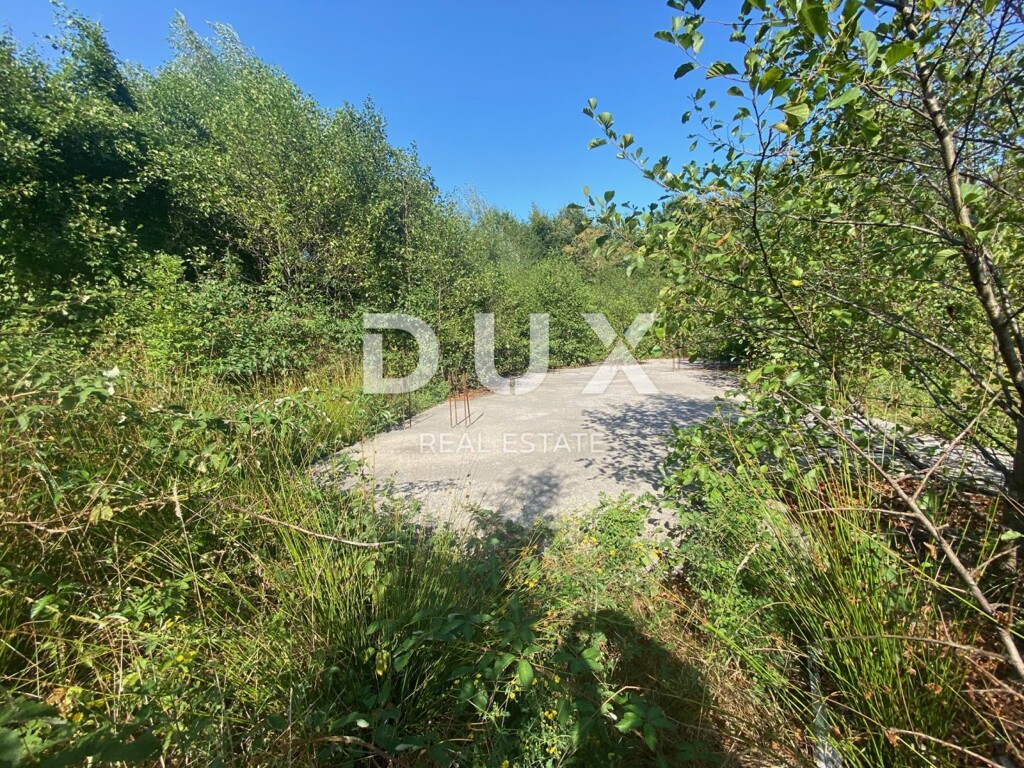 Image 23