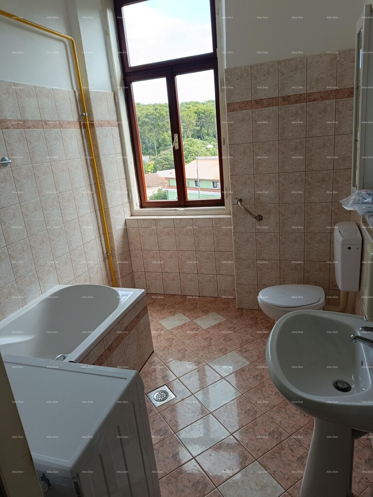 Image 11