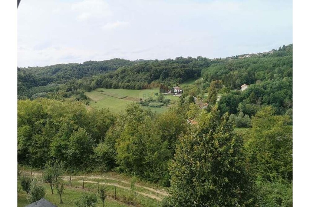 Image 17
