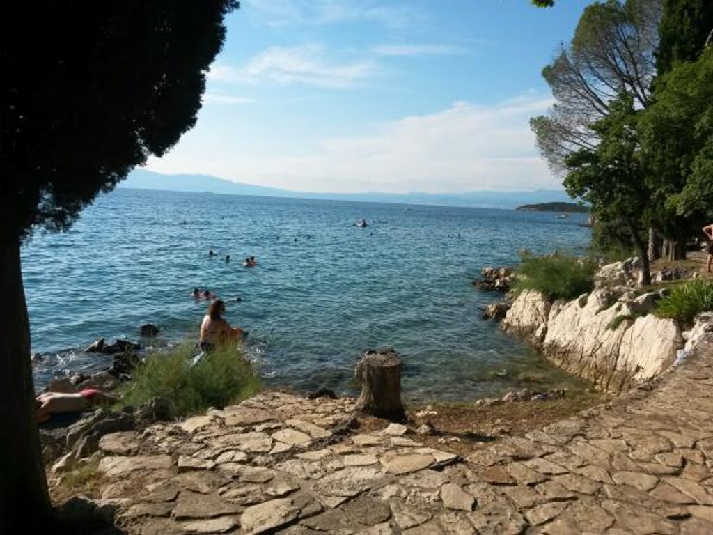 Image 3814465 - 10