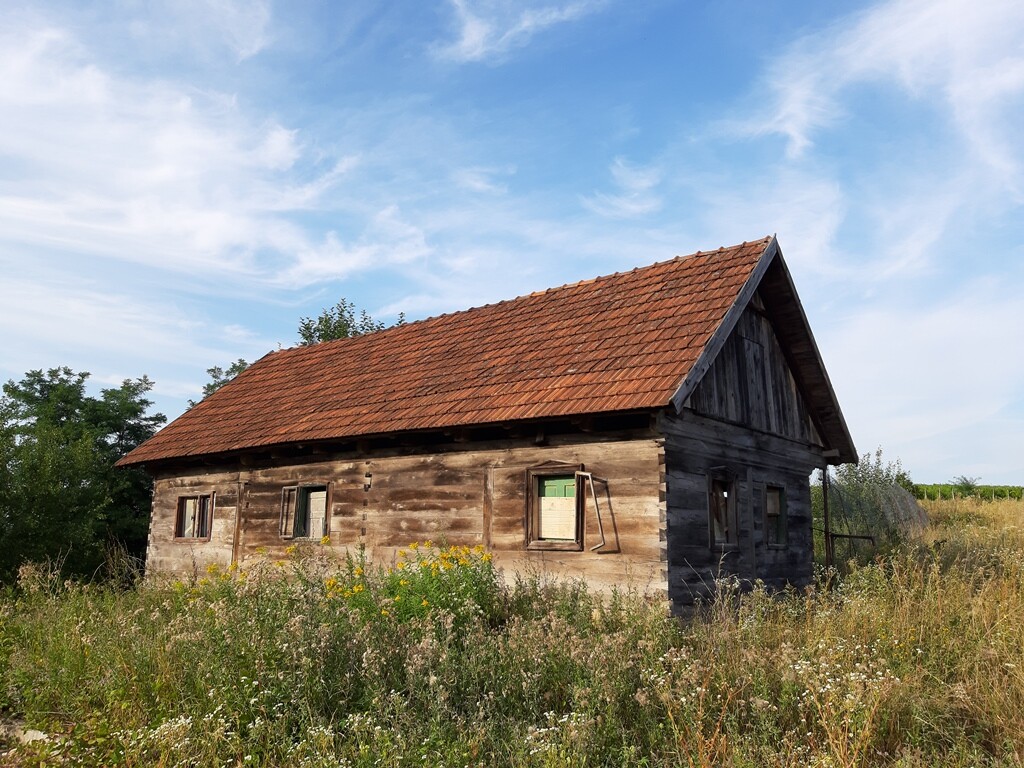 Image 9