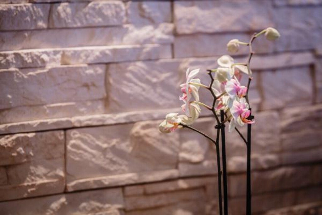 Image 3810970 - 9