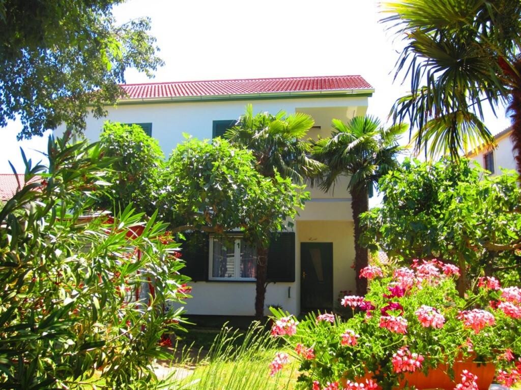 Image 3810696 - 1