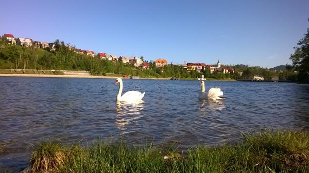 Image 3810632 - 2