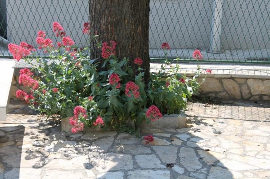 Image 3838903 - 8