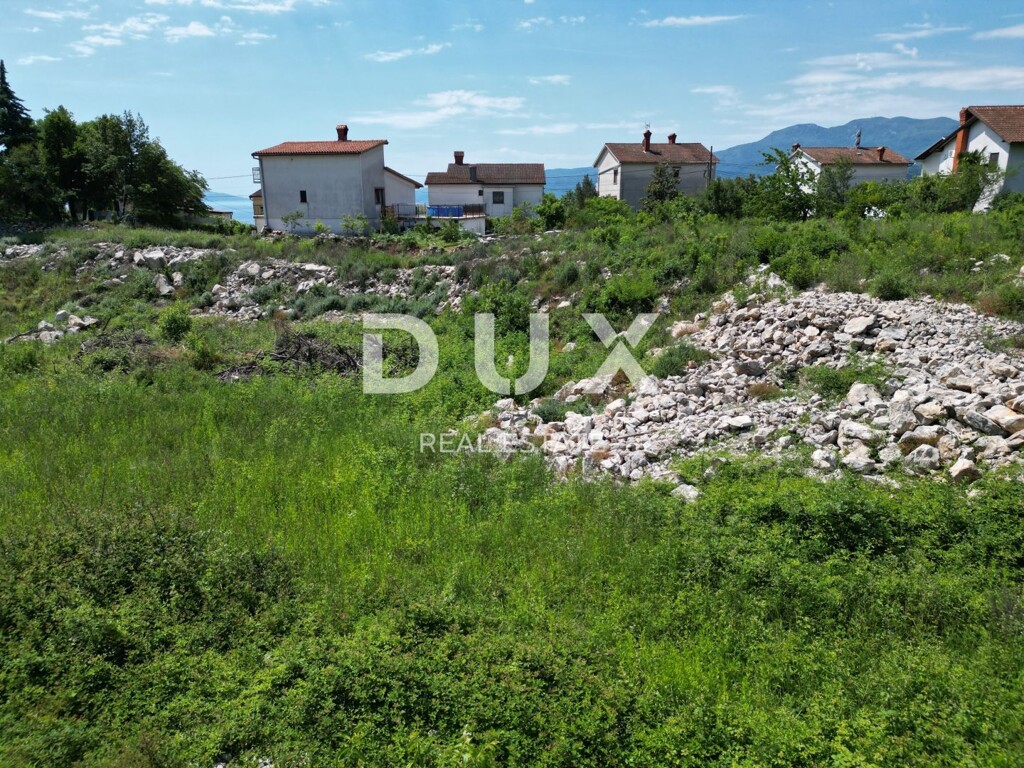 Image 23