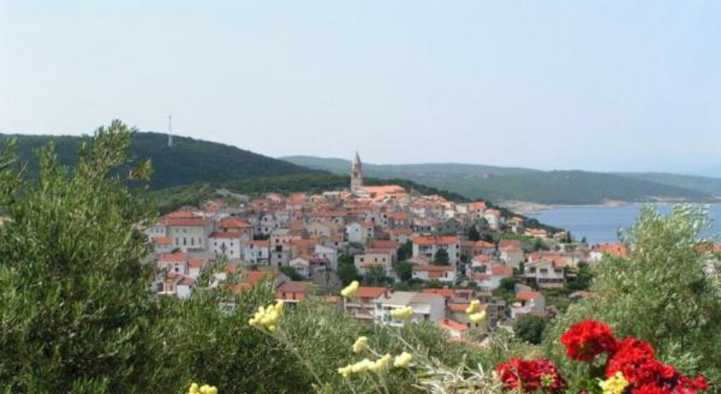 Image 3811749 - 8