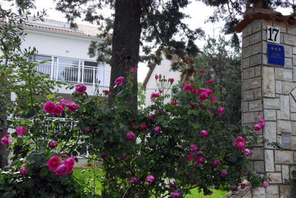 Image 3810856 - 1