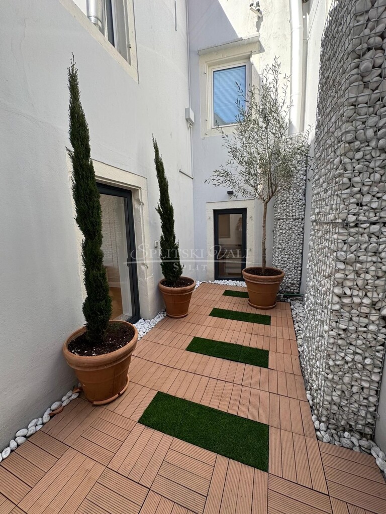 Image 15