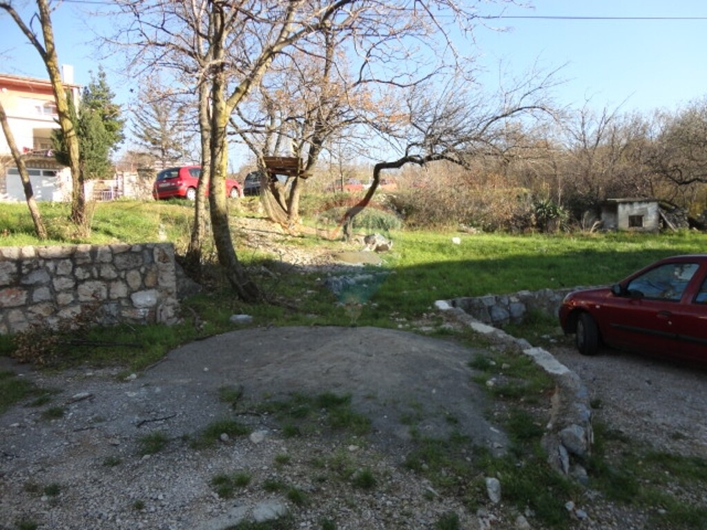 Image 5411239 - 1